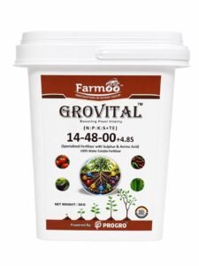 grovital-144800