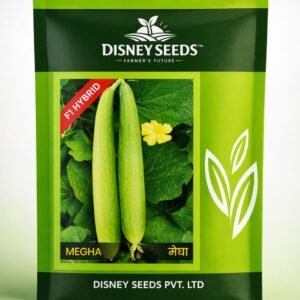 MEGHA - Sponge Gourd