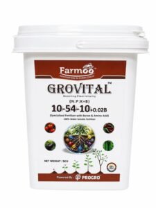 grovital-105410