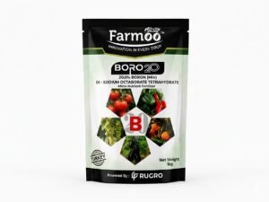 boro-20