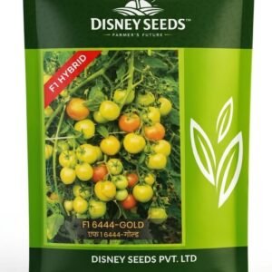 F1 6444 GOLD - Tomato