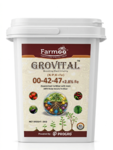 grovital-004247