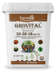 grovital-102818