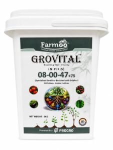 grovital-080047